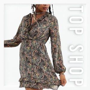 Top Shop Fall Floral Print Ruffle Accent Fit and Flare Dress sz 4
